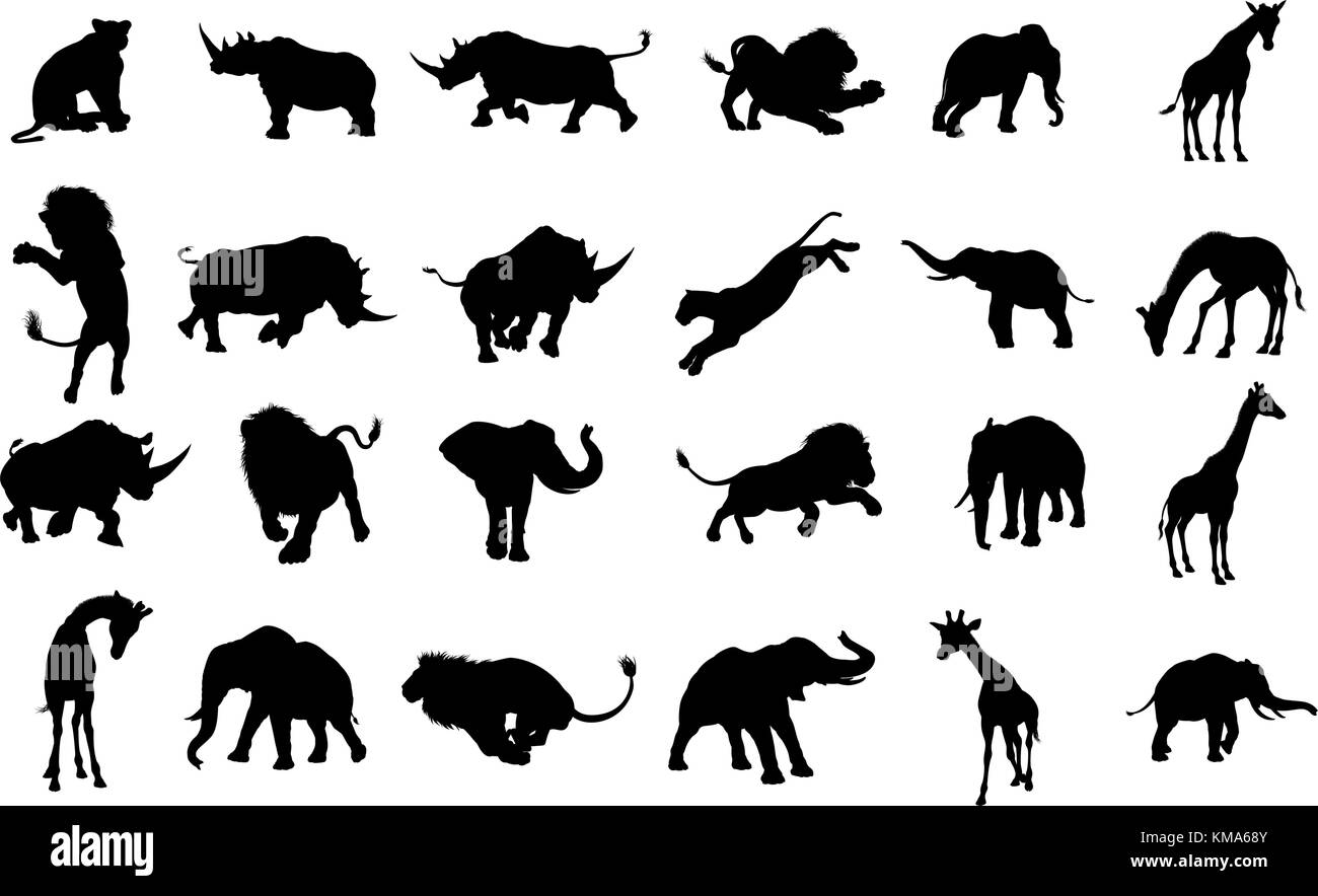 African animal illustration hi-res stock photography and images - Alamy