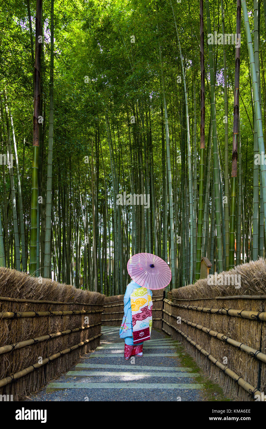 A Kyoto Maiko strolling through the Arashiyama Bamboo Forest Stock Photo