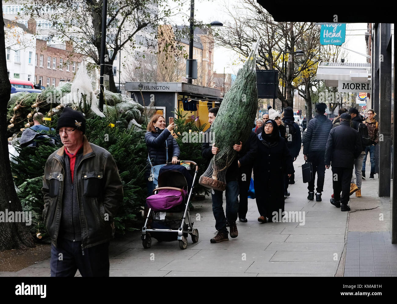Christmas trees being sold roadside Holloway Road picture by Gavin