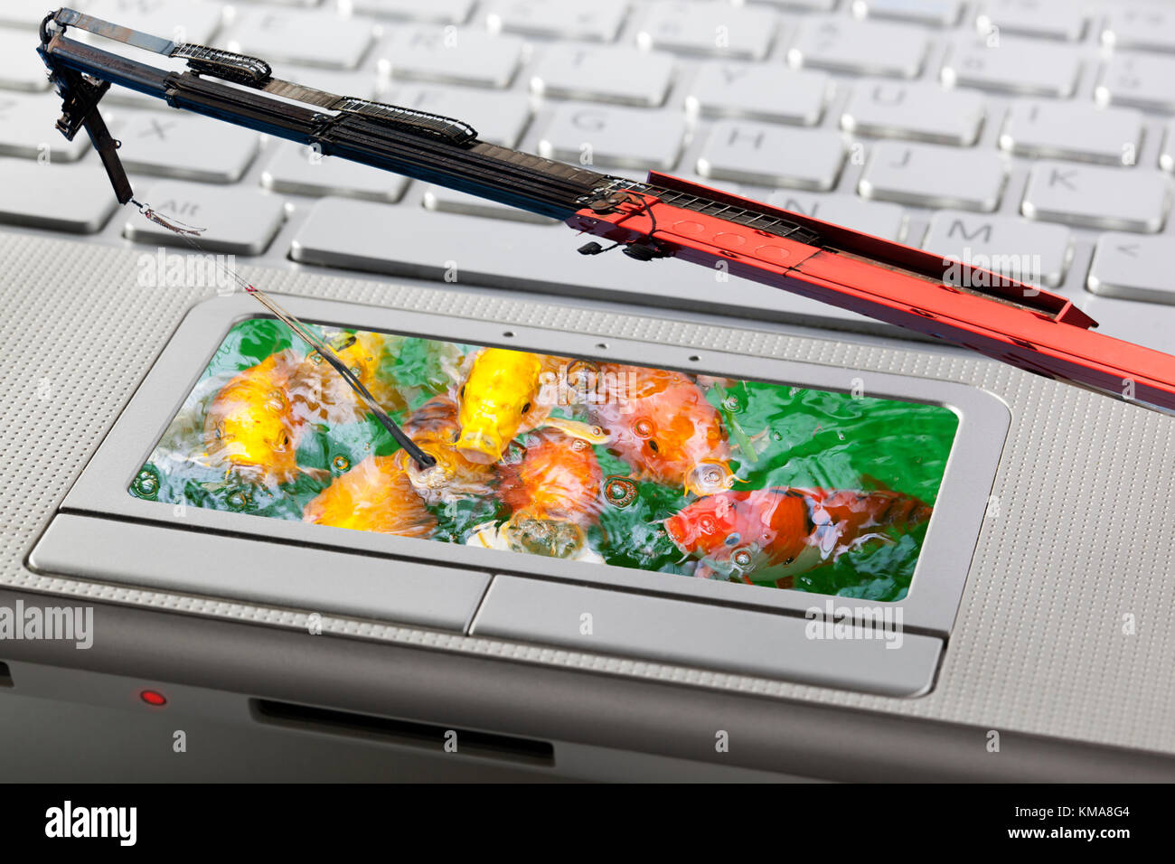 Phishing attack of computer system concept with fishes and a crane as ...