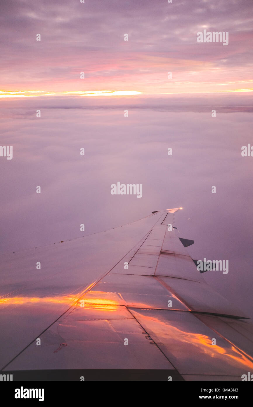 View of an airplane wing above the clouds during sunset Stock Photo - Alamy