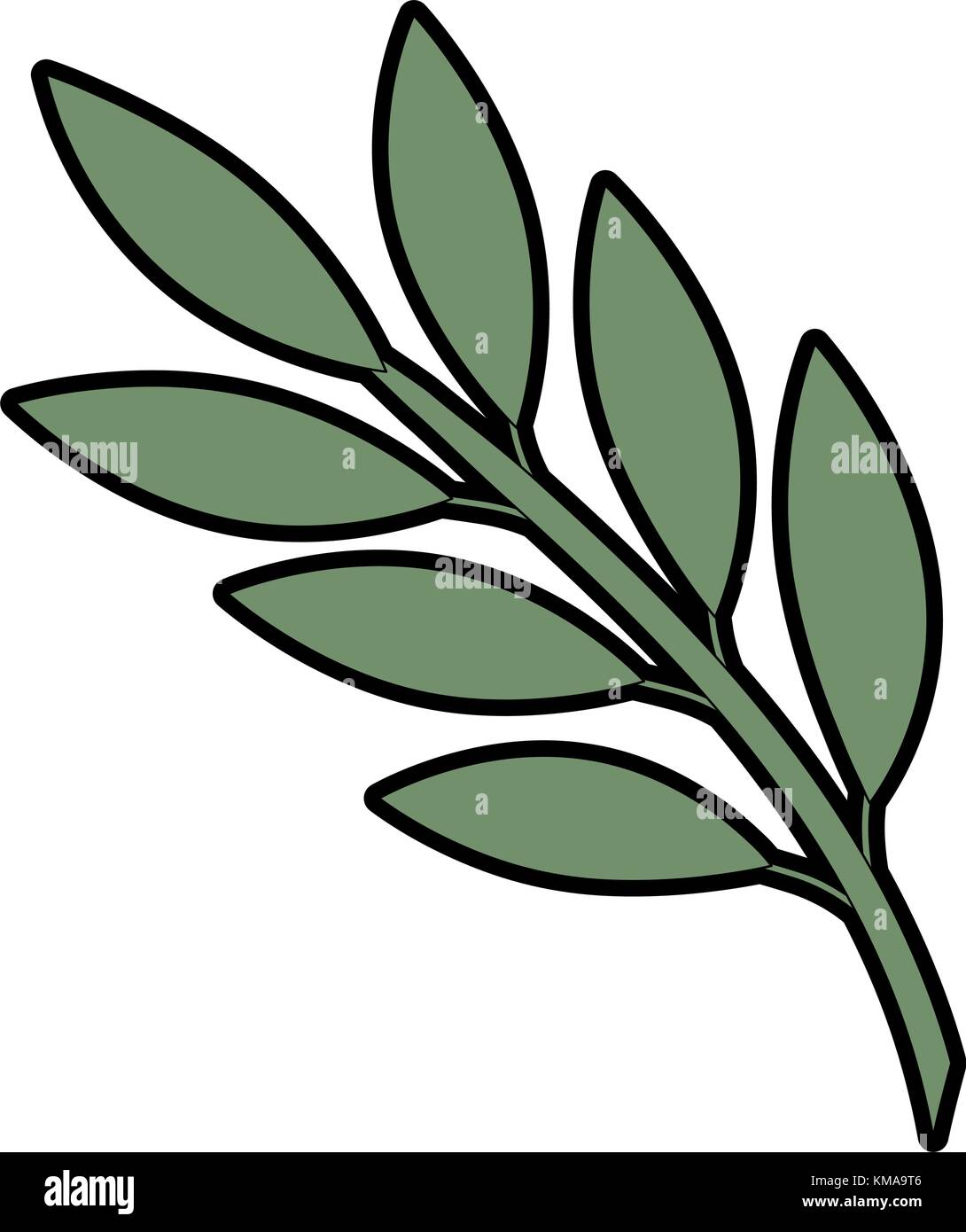 olive branch isolated icon vector illustration design Stock Vector ...