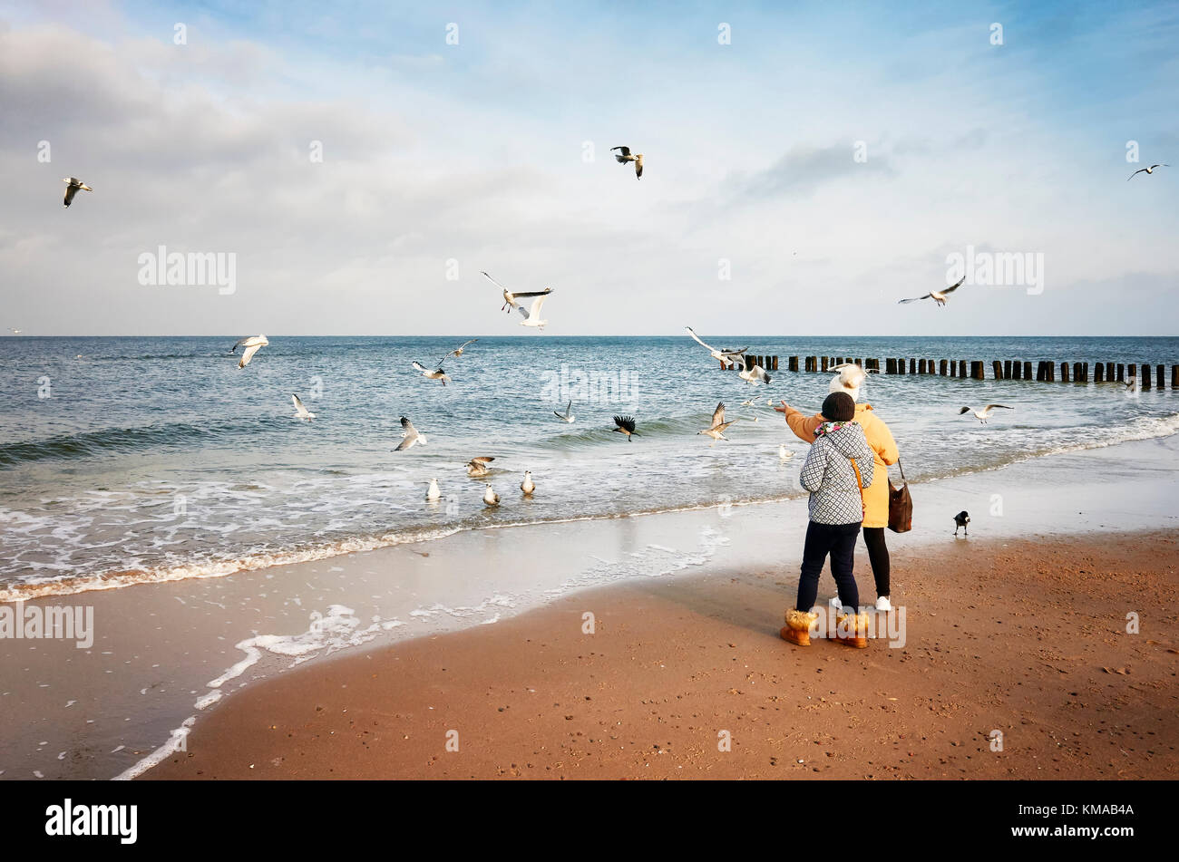 Dziwnowek, Poland - December 03, 2017: Two women feed birds at the beach on a cold day. Stock Photo