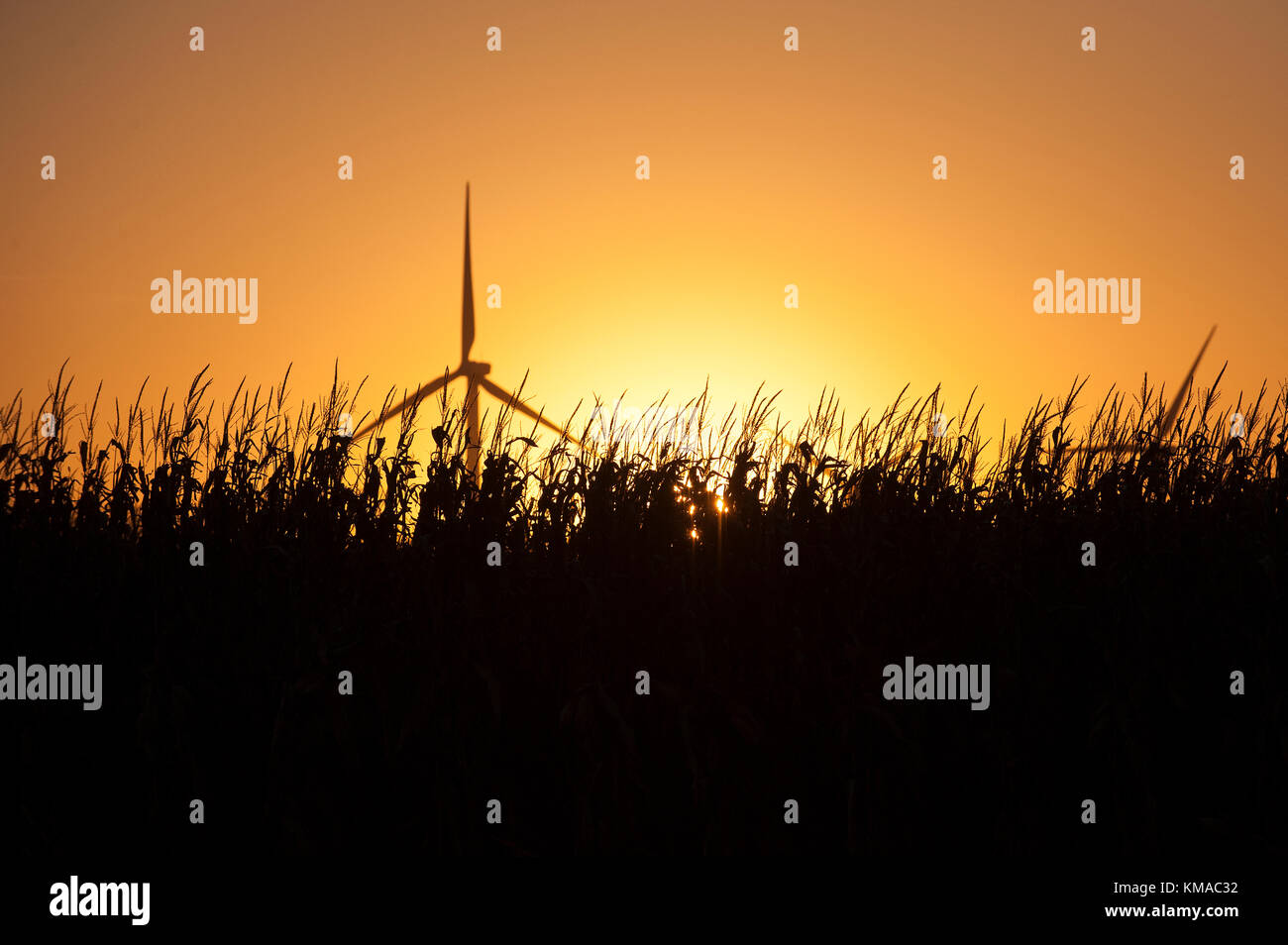 WIND TURBINE AGAINST THE EVENING SKY ON A FAMILY FARM NEAR GRAND MEADOW, MINNESOTA Stock Photo