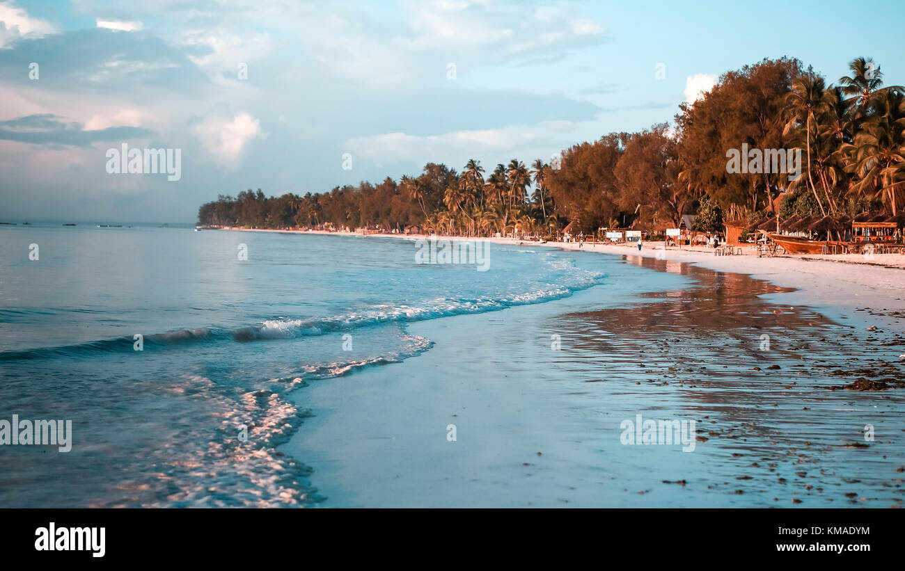 Tropic Climate High Resolution Stock Photography and Images - Alamy