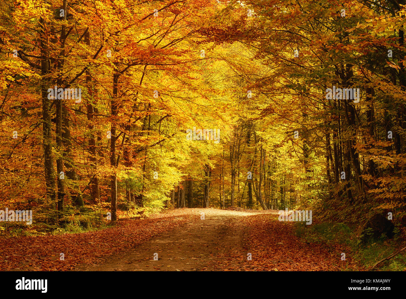 Beautiful autumn landscape Stock Photo - Alamy