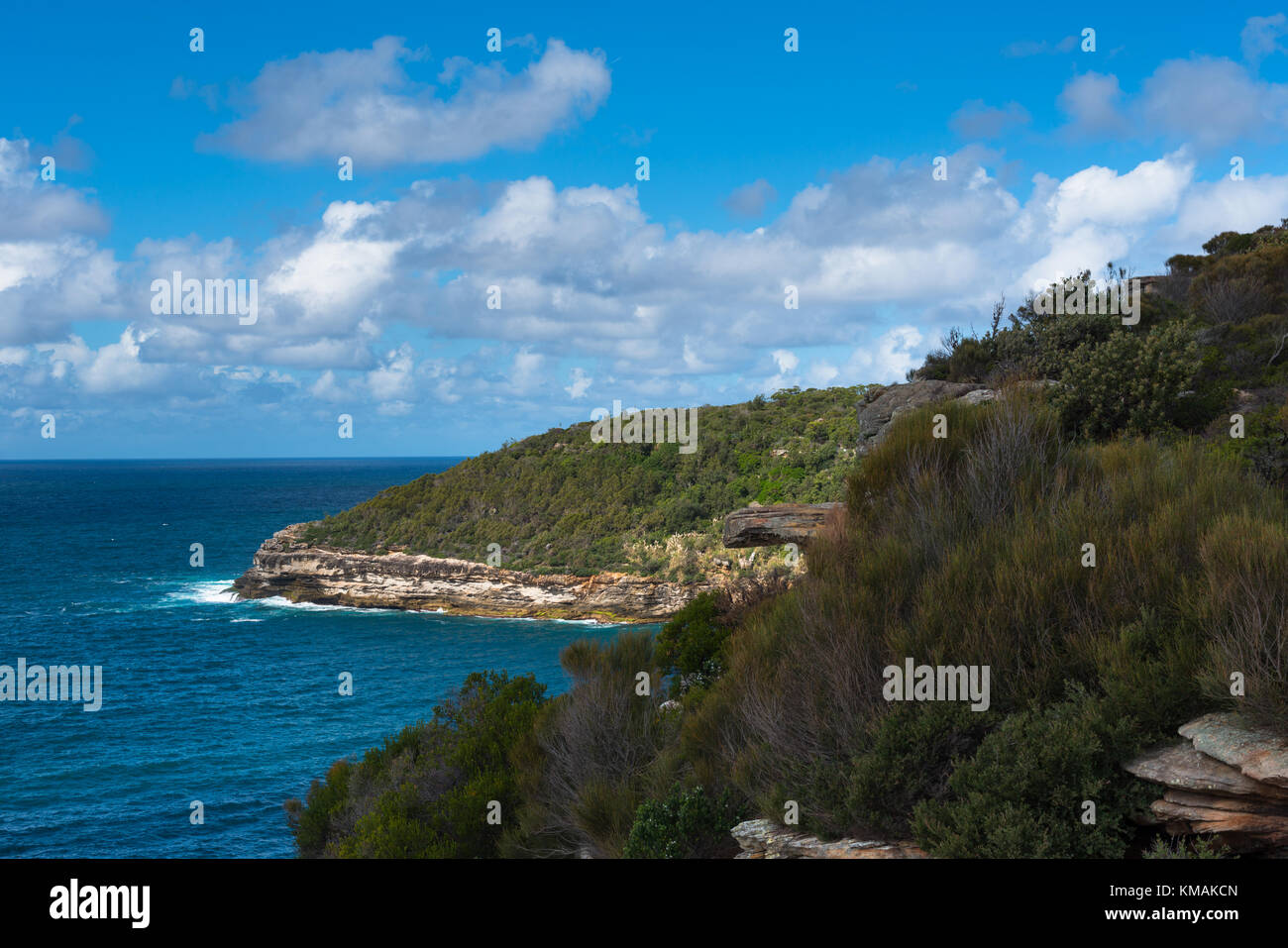 Shelly Headland path, Manly, Sydney, New South Wales, Australia. Stock Photo