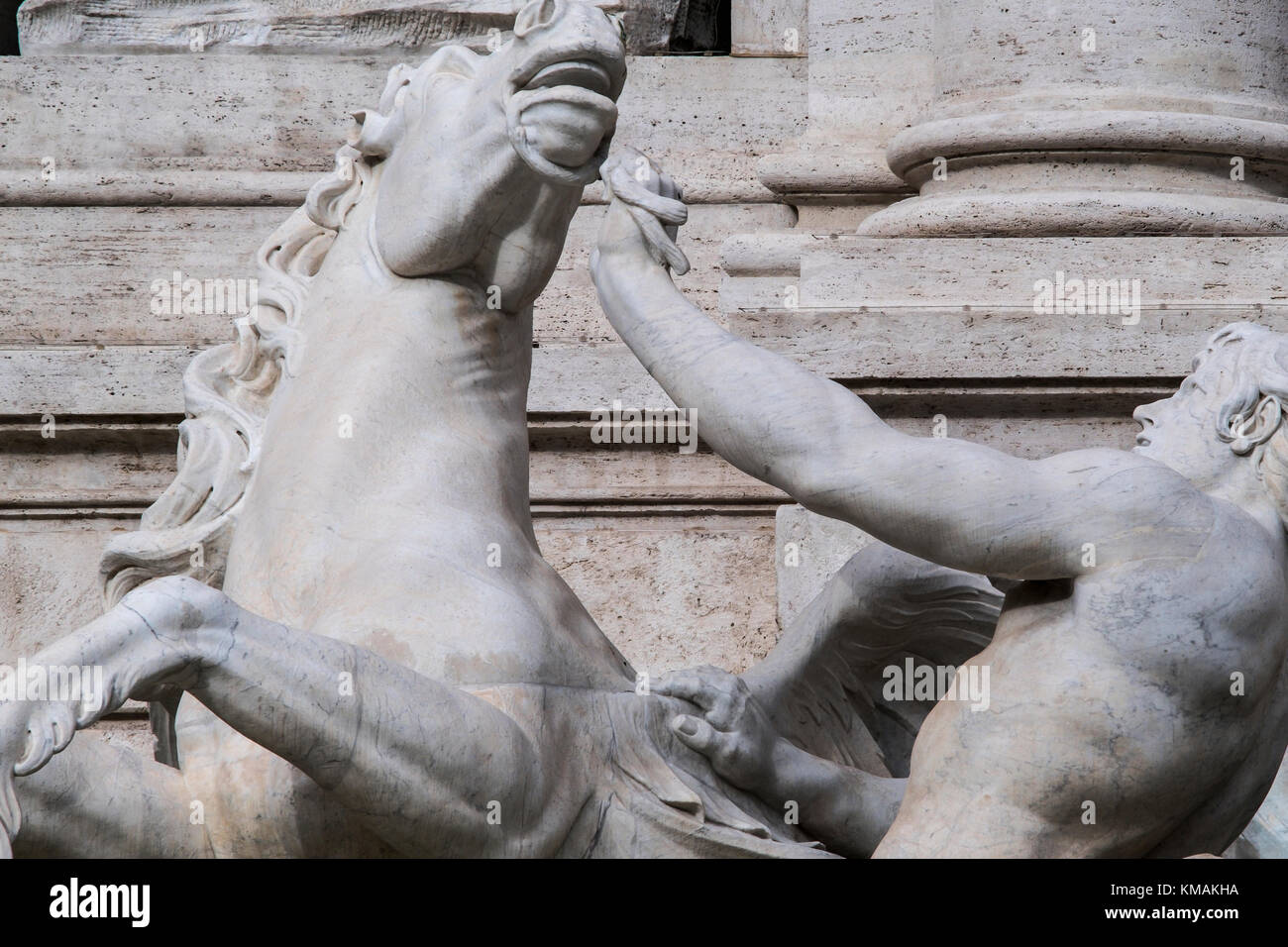 horse agitated, the Trevi Fountain. Stock Photo