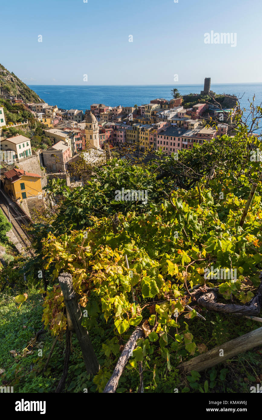 Cinque terre wine hires stock photography and images Alamy