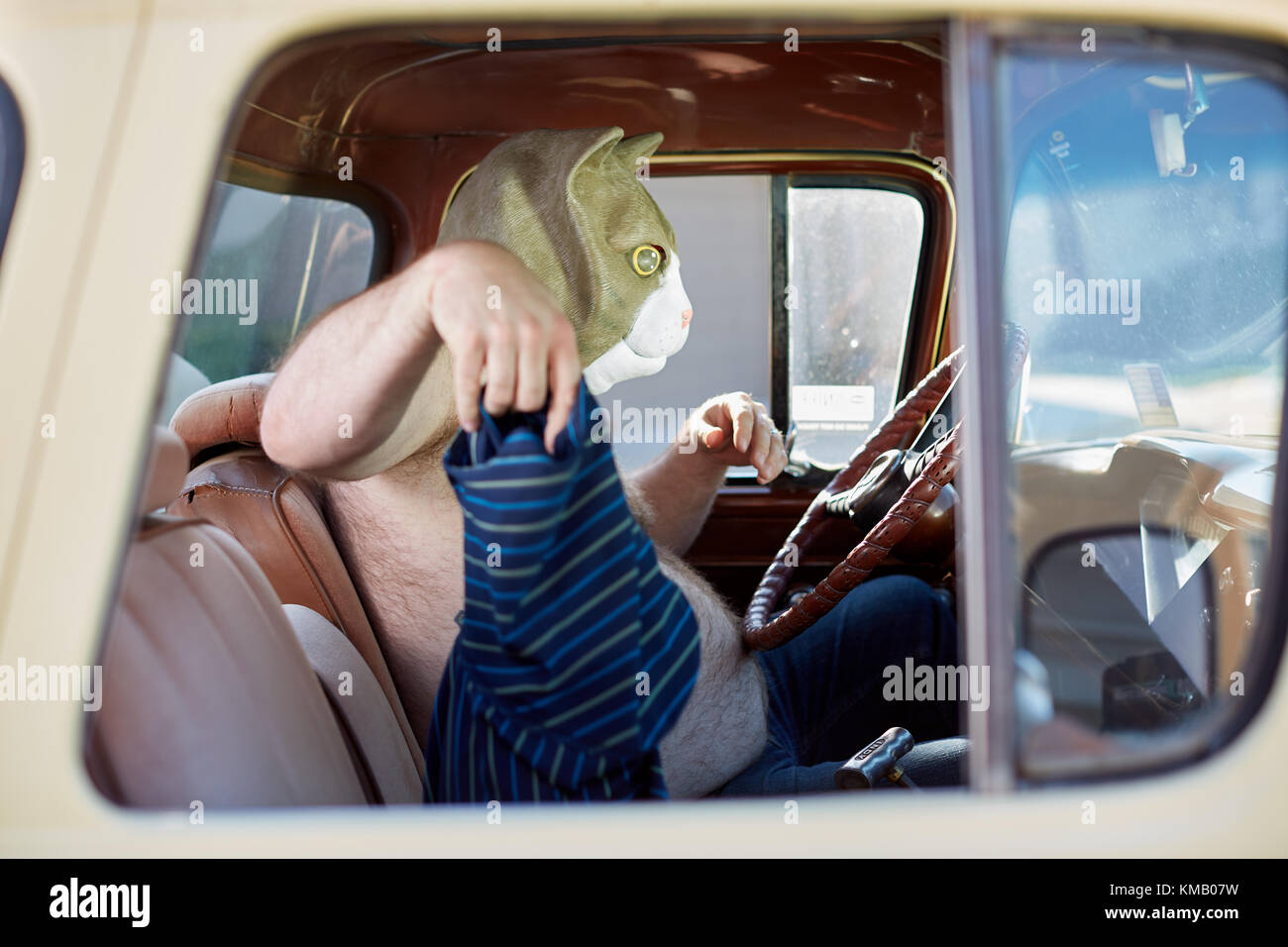 Hot overweight man in a cat mask sitting in a vehicle behind the steering wheel taking off his T-shirt and waving it in his hand Stock Photo