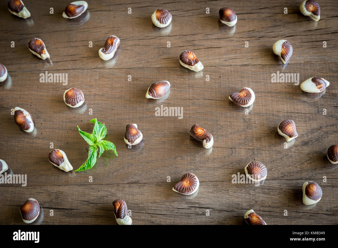 Belgian chocolate seashells hi-res stock photography and images - Alamy