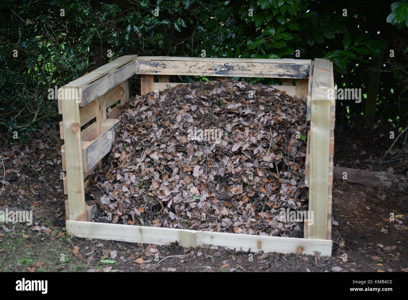 Garden compost heap made out of wooden pallets and featheredge boards