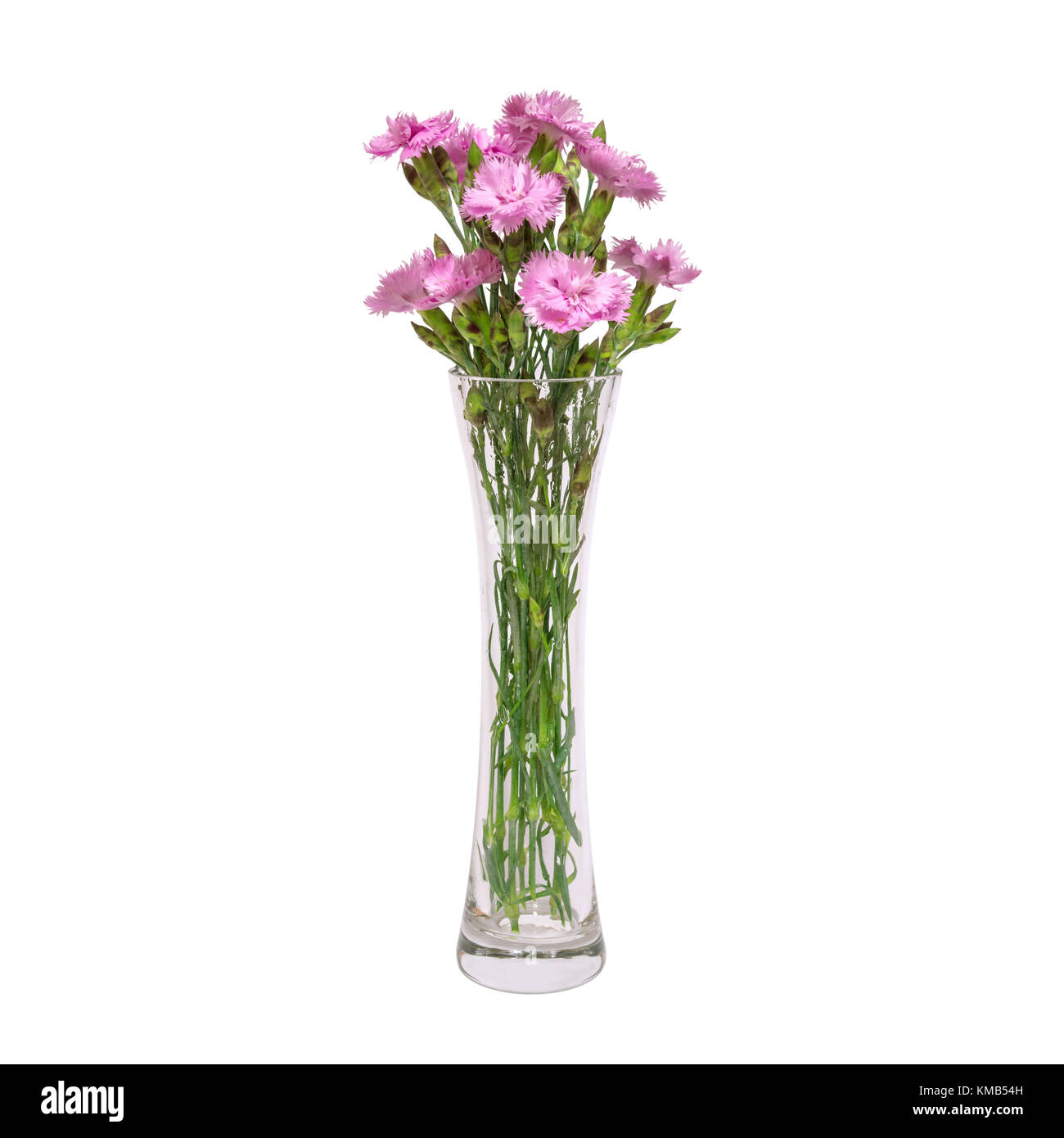 A bouquet of pink spring flowers in a glass transparent vase is isolated on a white backgroun Stock Photo
