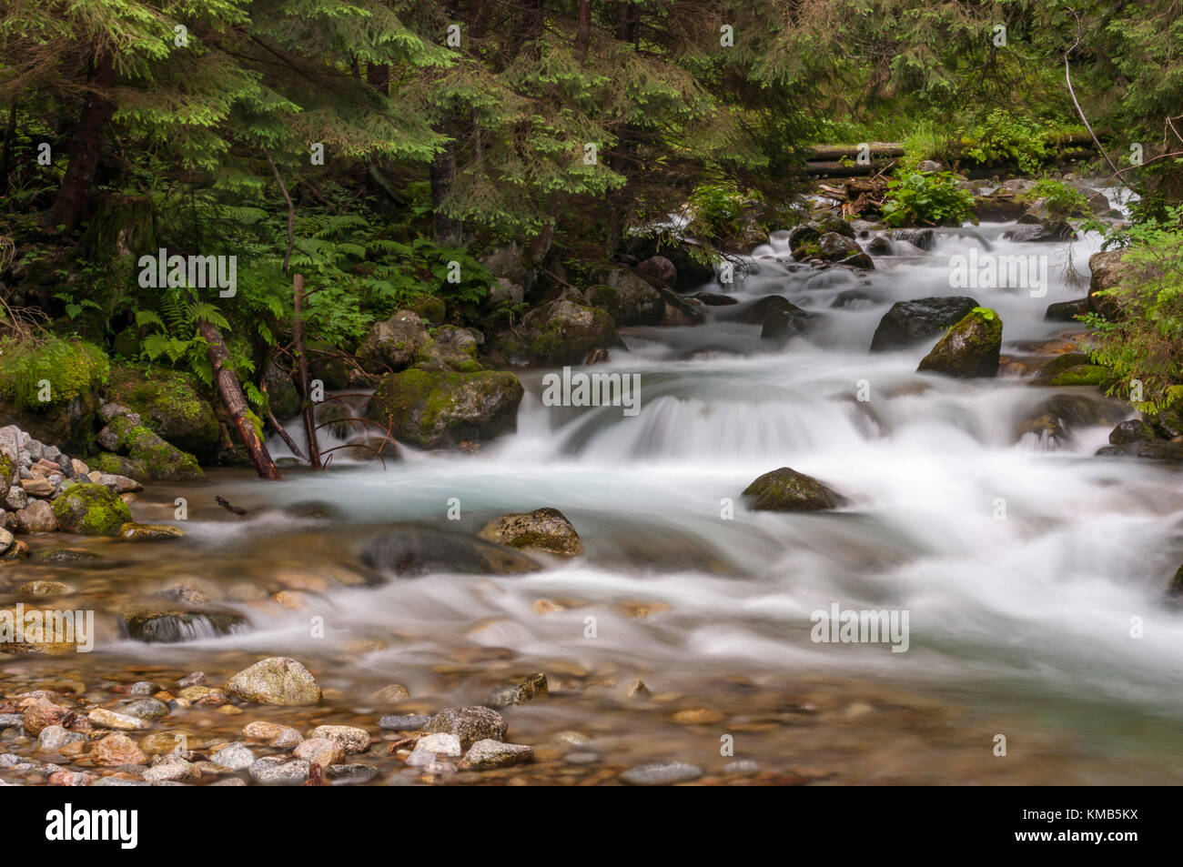 Mountain stream in the Tatra Mountains. Poland Stock Photo - Alamy