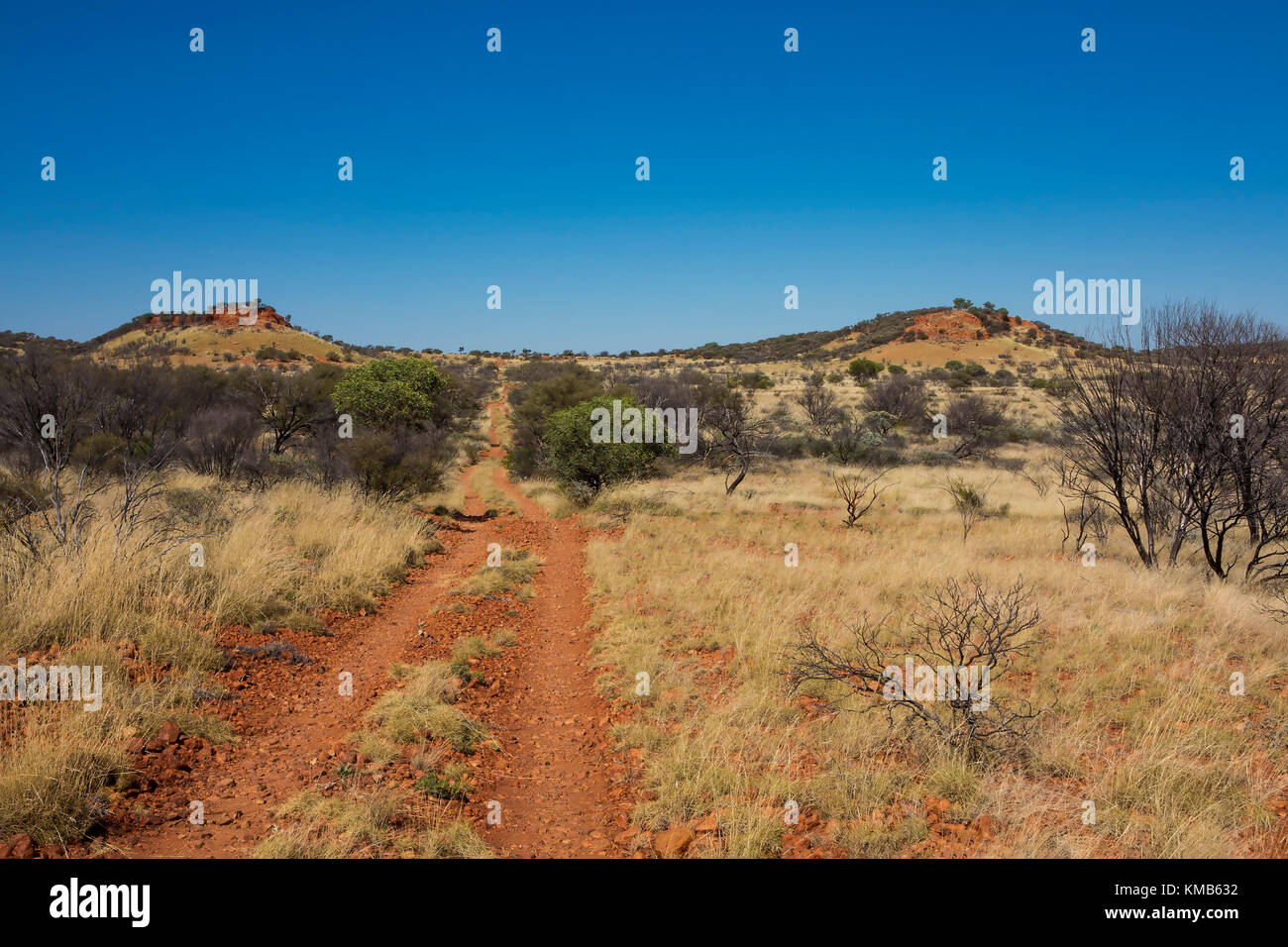 The Gary Highway in the Gibson Desert , Western Australia Stock Photo Alamy