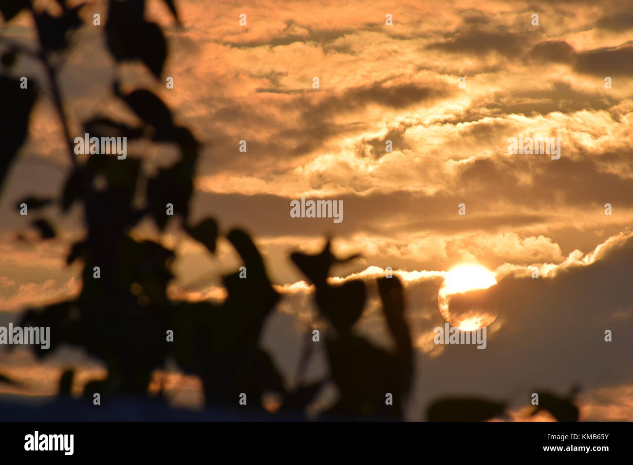 Skies Have No Limits Stock Photo