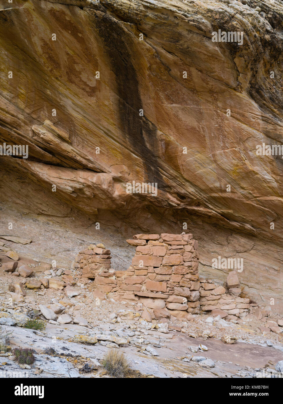 Photograph from the Eagles Nest Ruin, on Comb Ridge, San Juan County ...