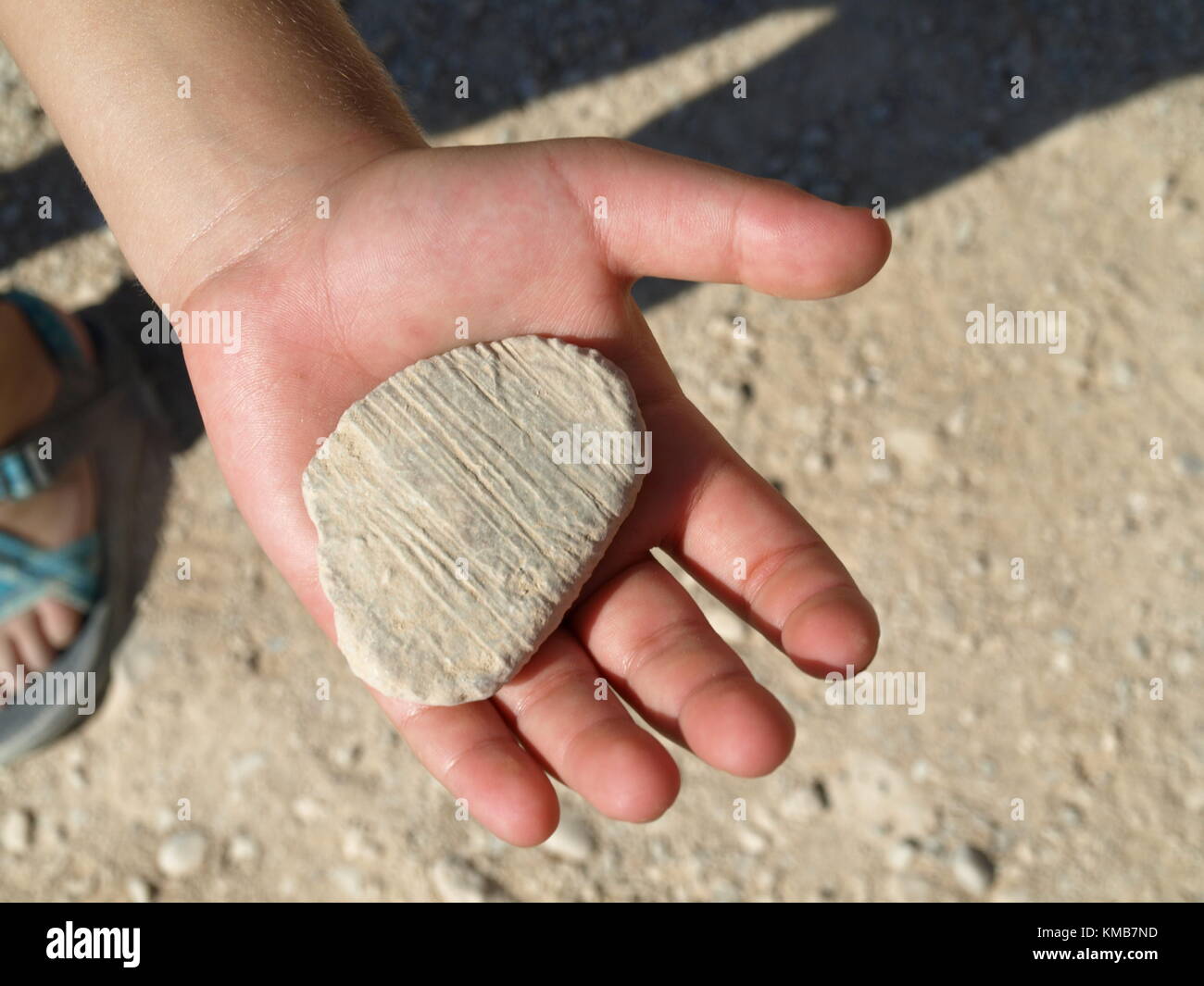 a child hand holding stone he for his stone collection Stock Photo