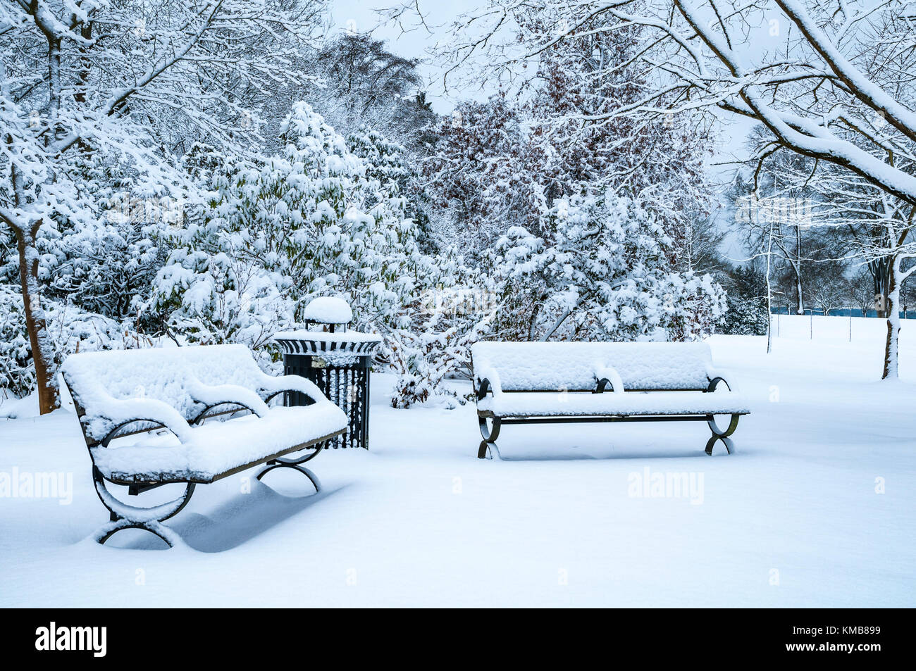 Snow Park Benches Vancouver British Columbia Canada Stock