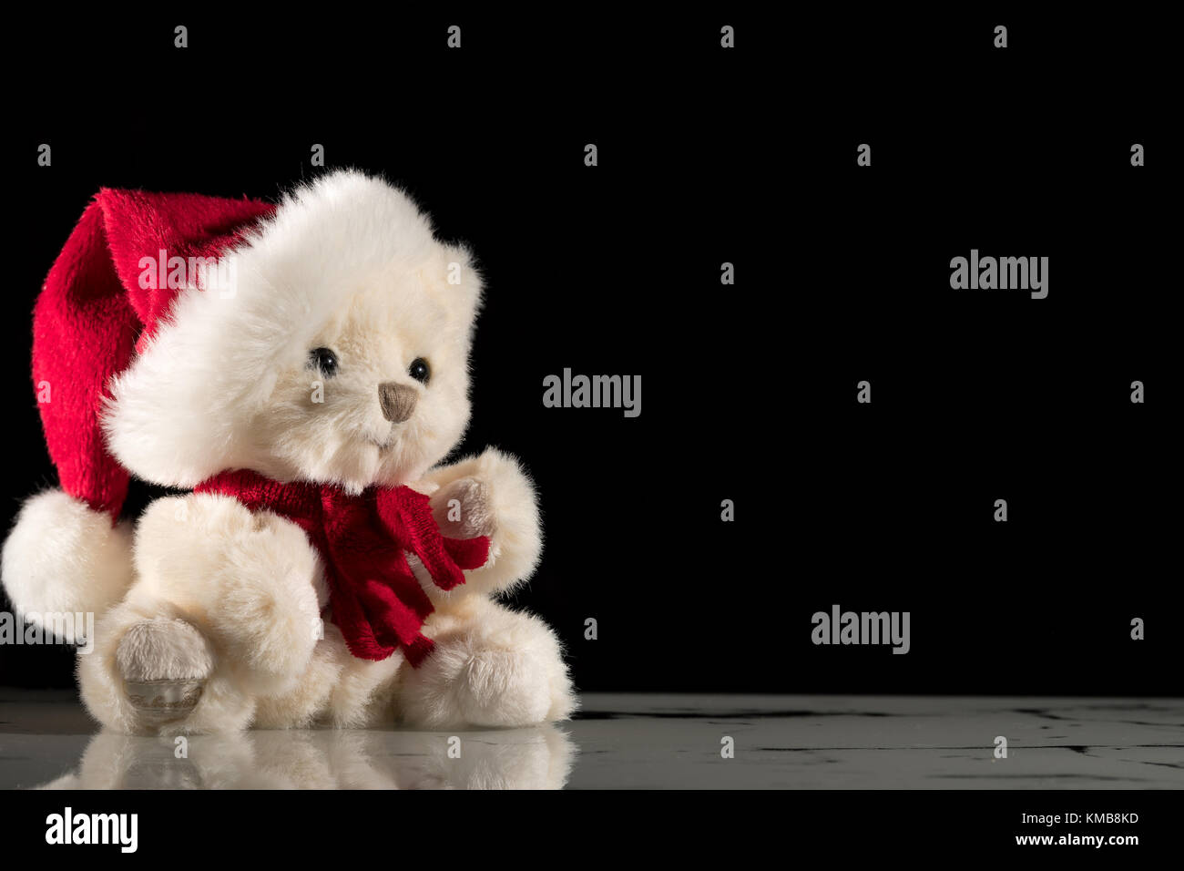 teddy bear black