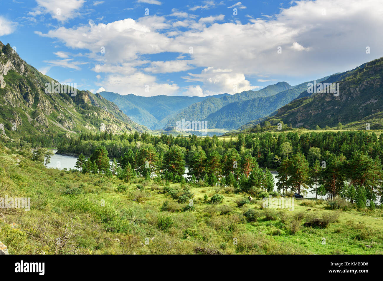 View of Katun river near Kuyus village. Altai Republic, Siberia. Russia Stock Photo