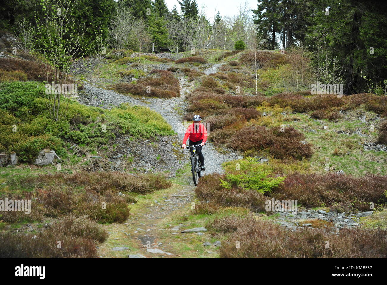 MTB Trail, Thuringian Forest, Germany Stock Photo