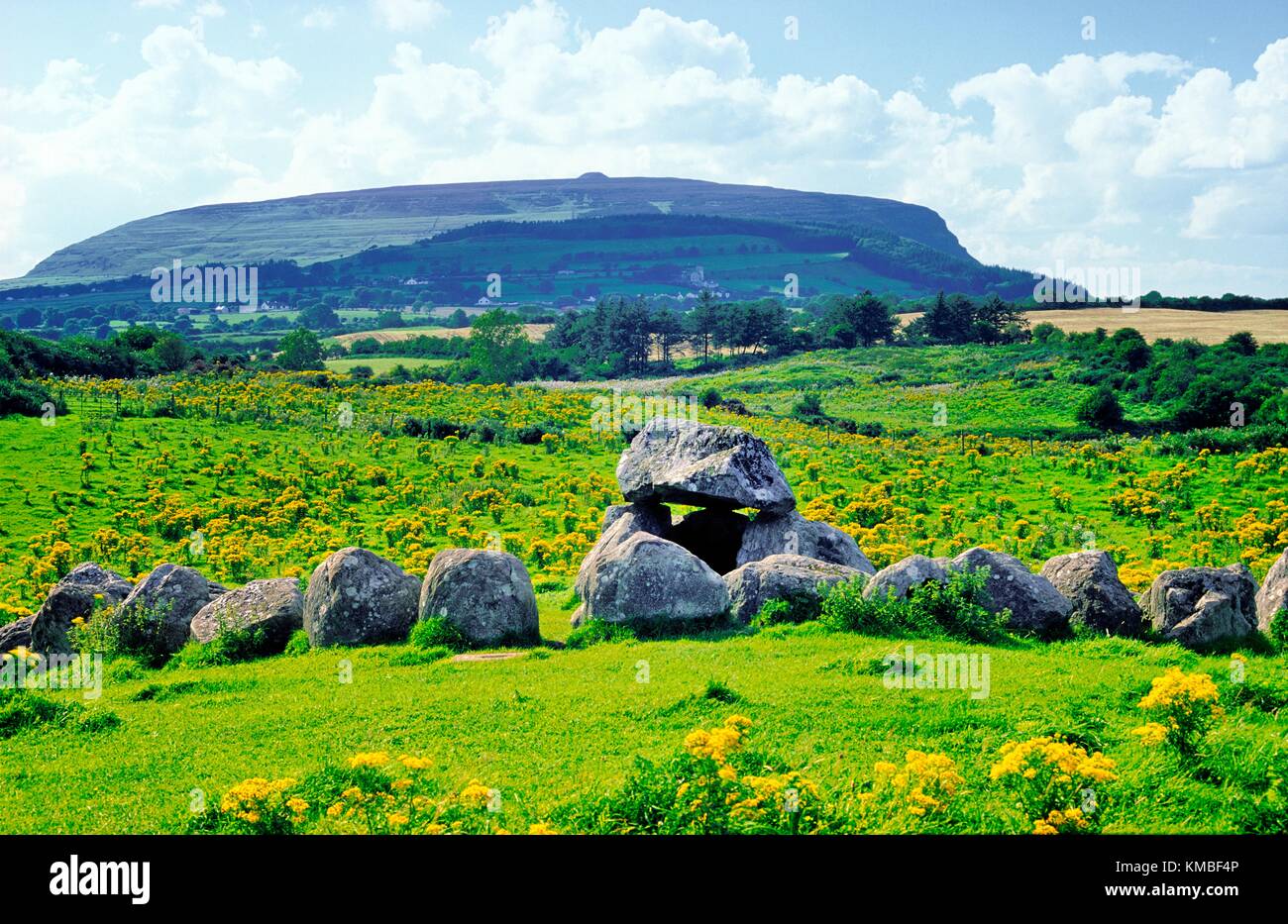 Grave 7, part of Carrowmore megalithic cemetery, with Queen Maeve's cairn on summit of Knocknarea behind. County Sligo, Ireland. Stock Photo