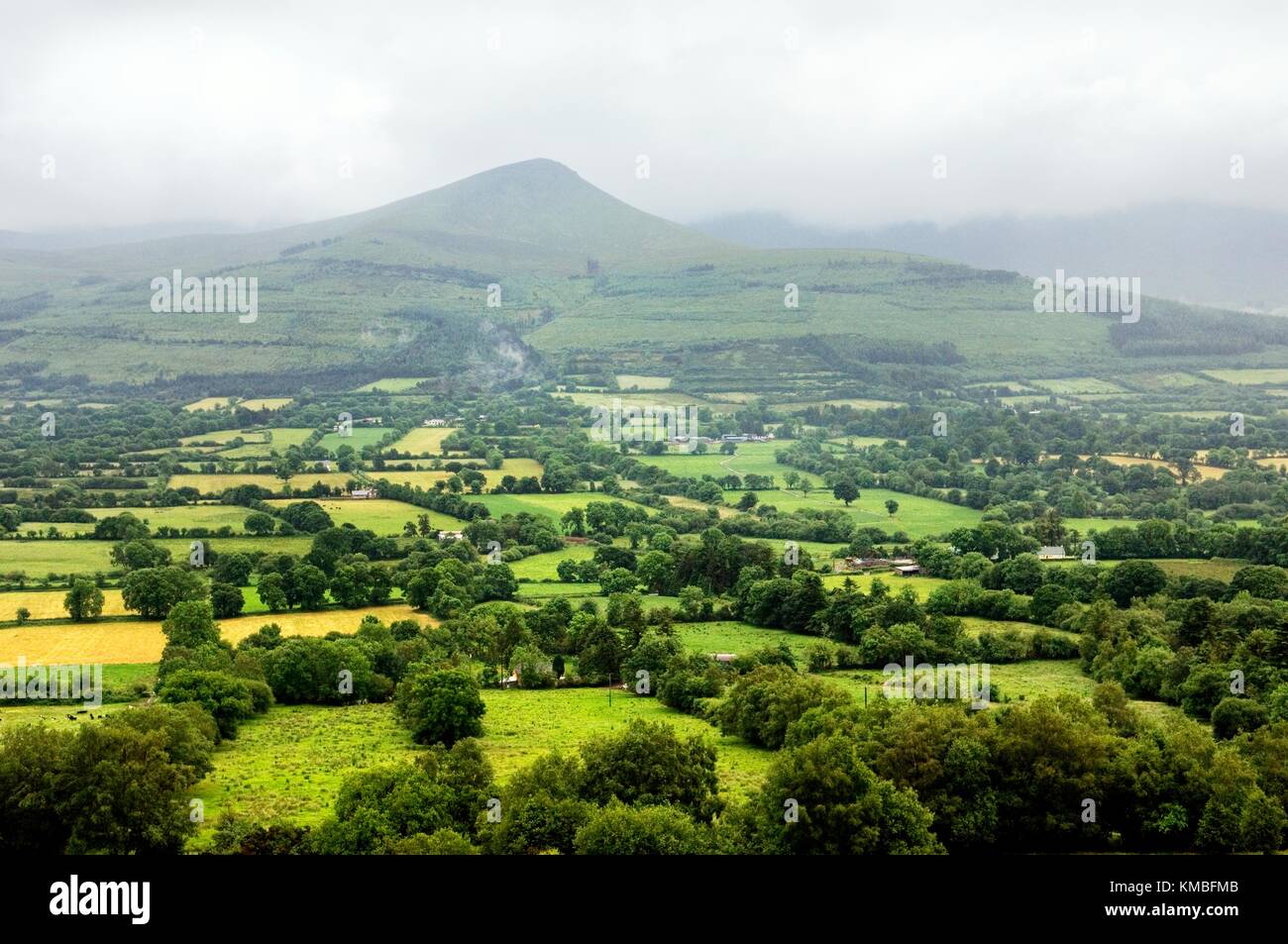 A ‘soft’ day in County Tipperary. South across lush green field farmland of the Glen of Aherlow to the Galtee Mountains. Ireland Stock Photo