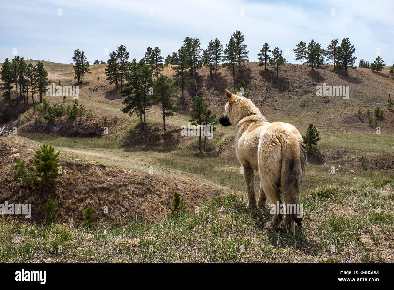 Pine ridge reservation hires stock photography and images Alamy