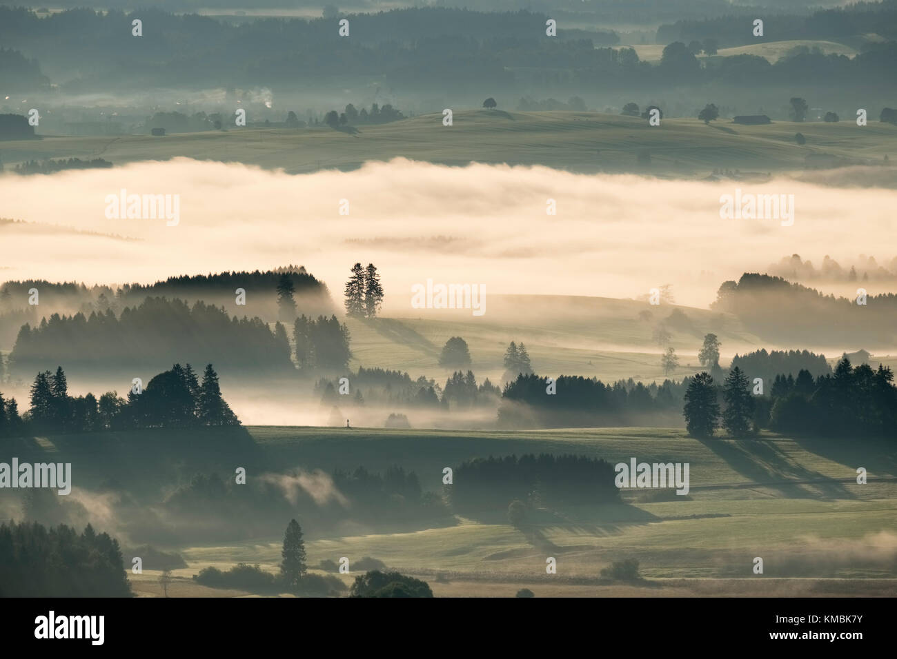 Morning fog, view from the Auerberg near Bernbeuren, Allgäu, Upper Bavaria, Bavaria, Germany Stock Photo