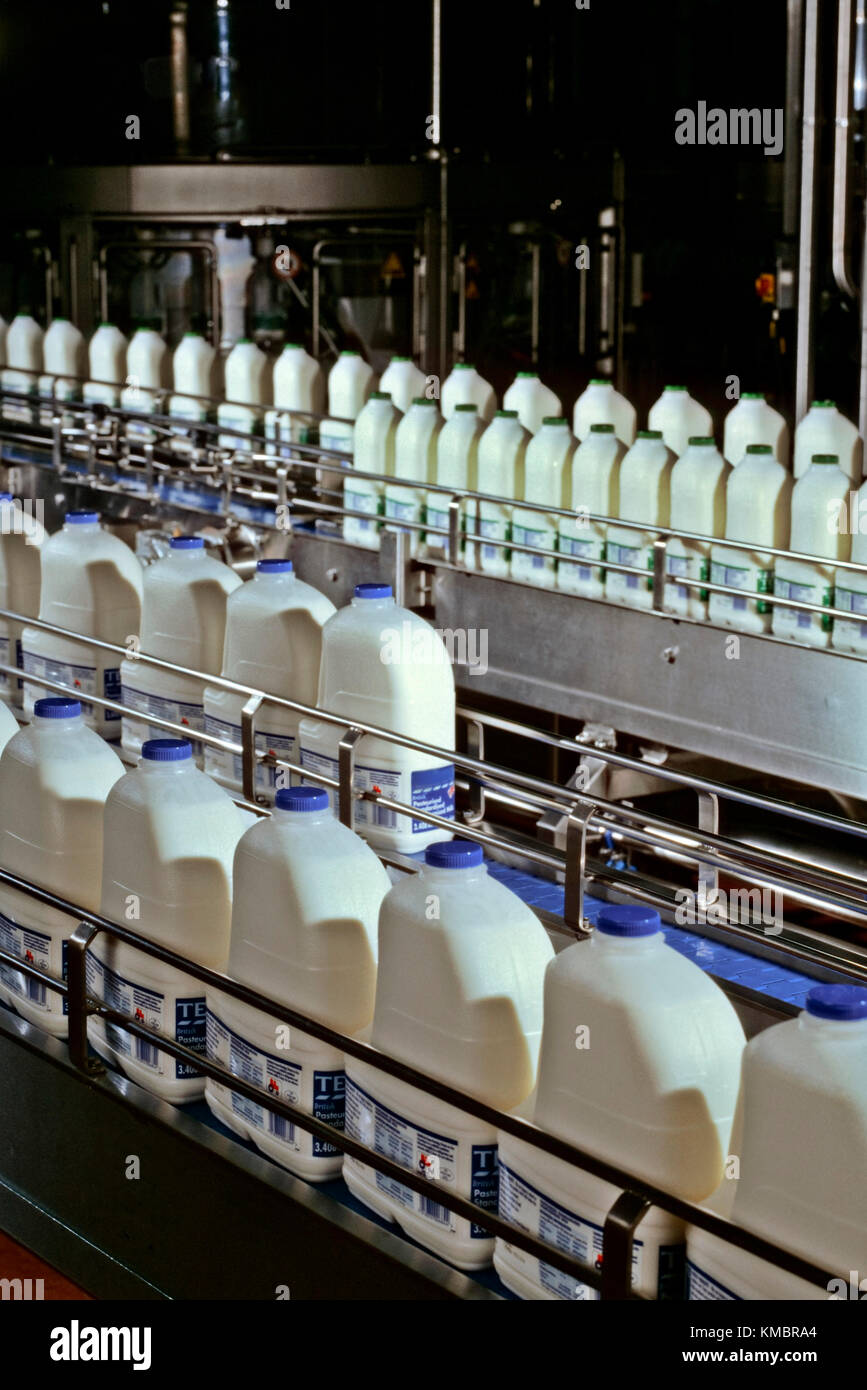 Milk processing plant Stock Photo - Alamy