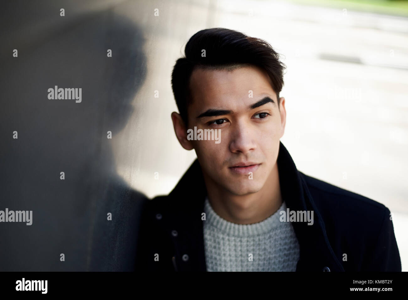 A Young Man Thin With Dark Hair And Brown Eyes Portrait Model