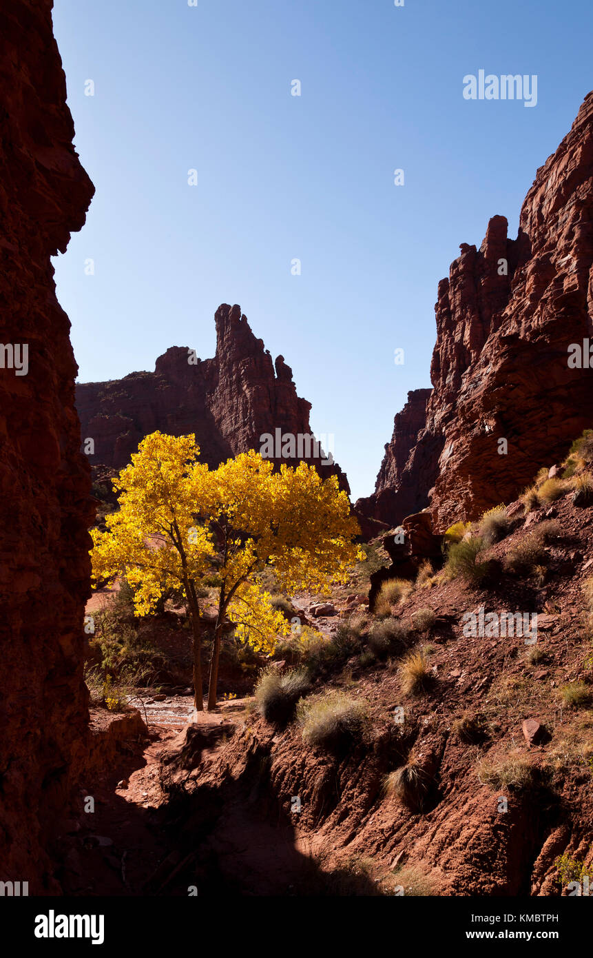 Onion Creek Canyon near Moab in Utah, USA Stock Photo Alamy