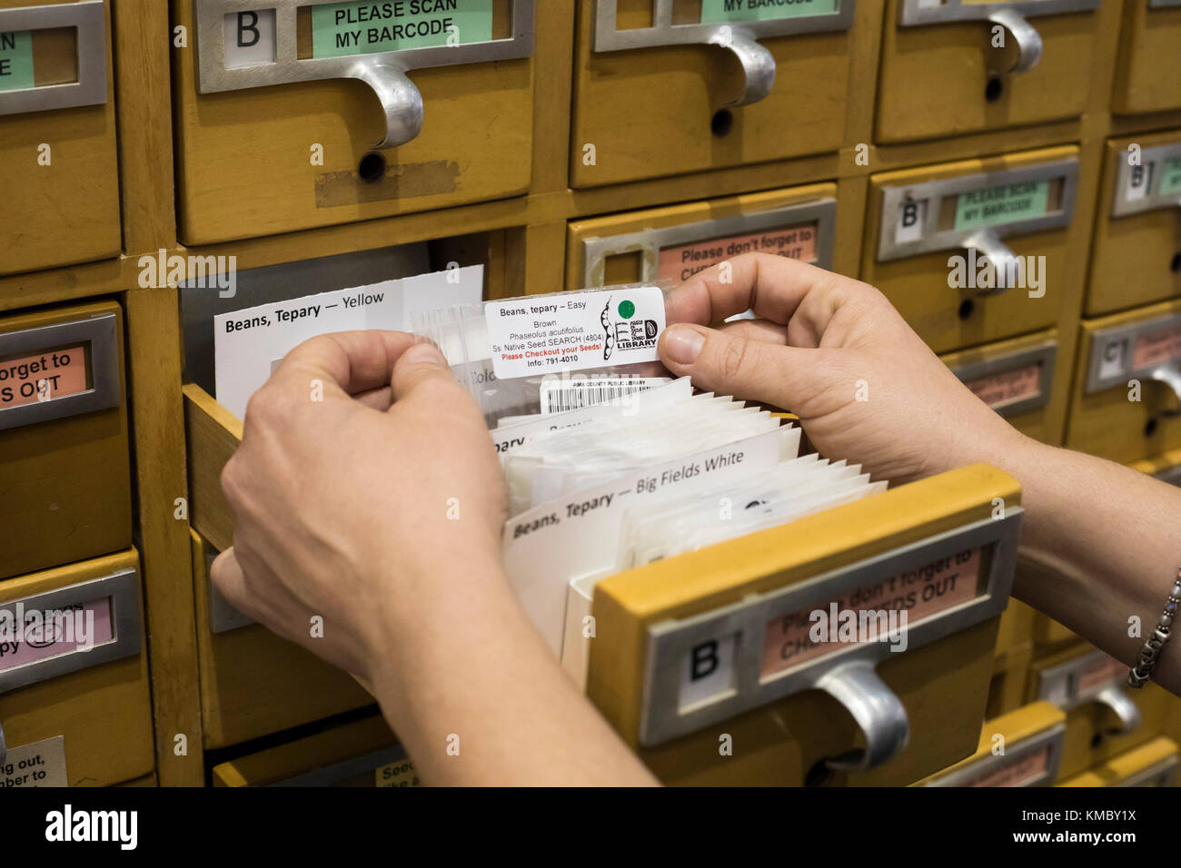 Card Catalog Stock Photos Card Catalog Stock Images Alamy