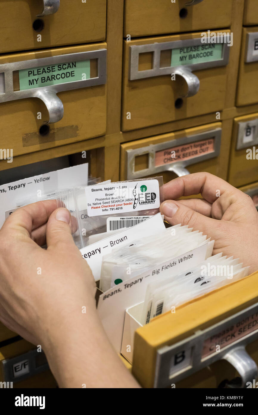Tucson, Arizona - The Pima County Public Library maintains a seed collection in an old card catalog file. Gardeners can check out seeds, and return ne Stock Photo