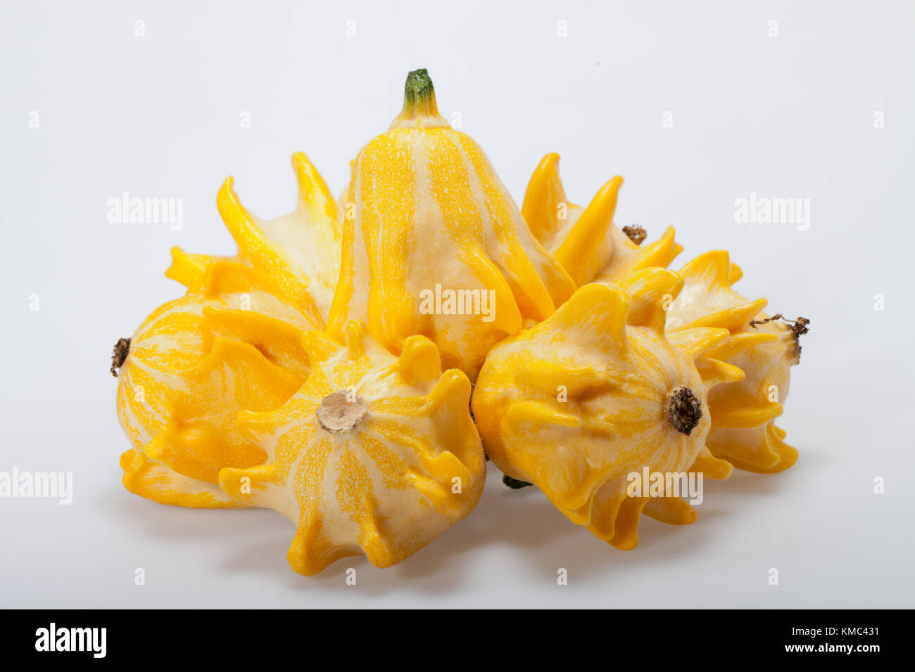 Decorative pumpkin isolated on white background Stock Photo - Alamy