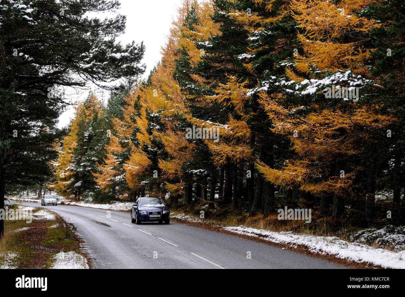 The first snow fall in autumn in the Cairgorms National park near the