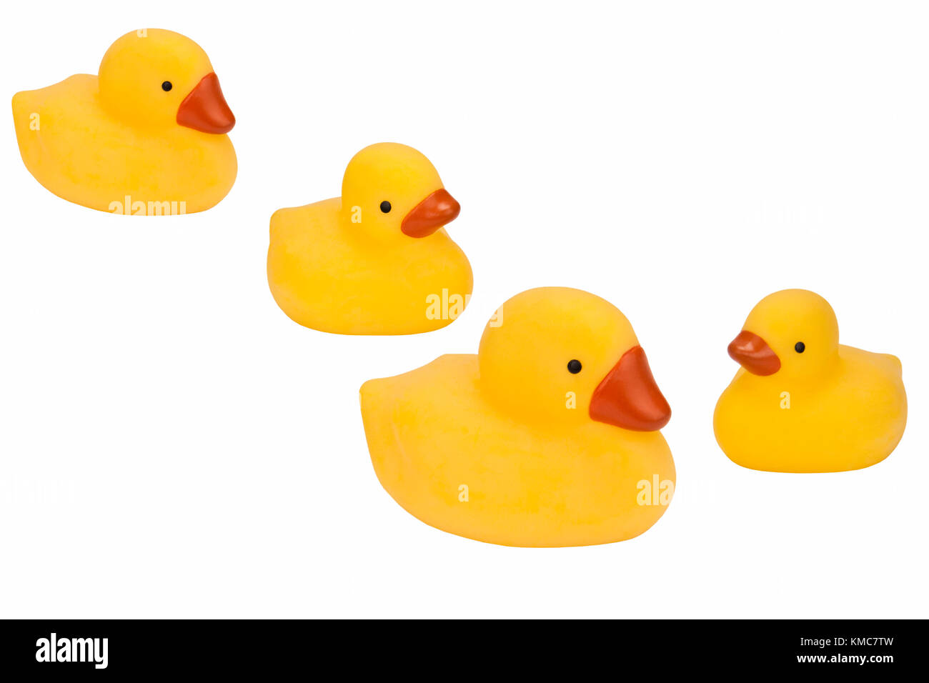 Family of Rubber Ducks - Isolated Stock Photo