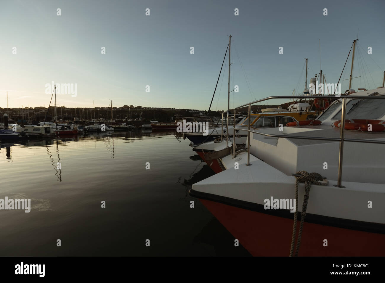 Moored boat at harbor Stock Photo - Alamy
