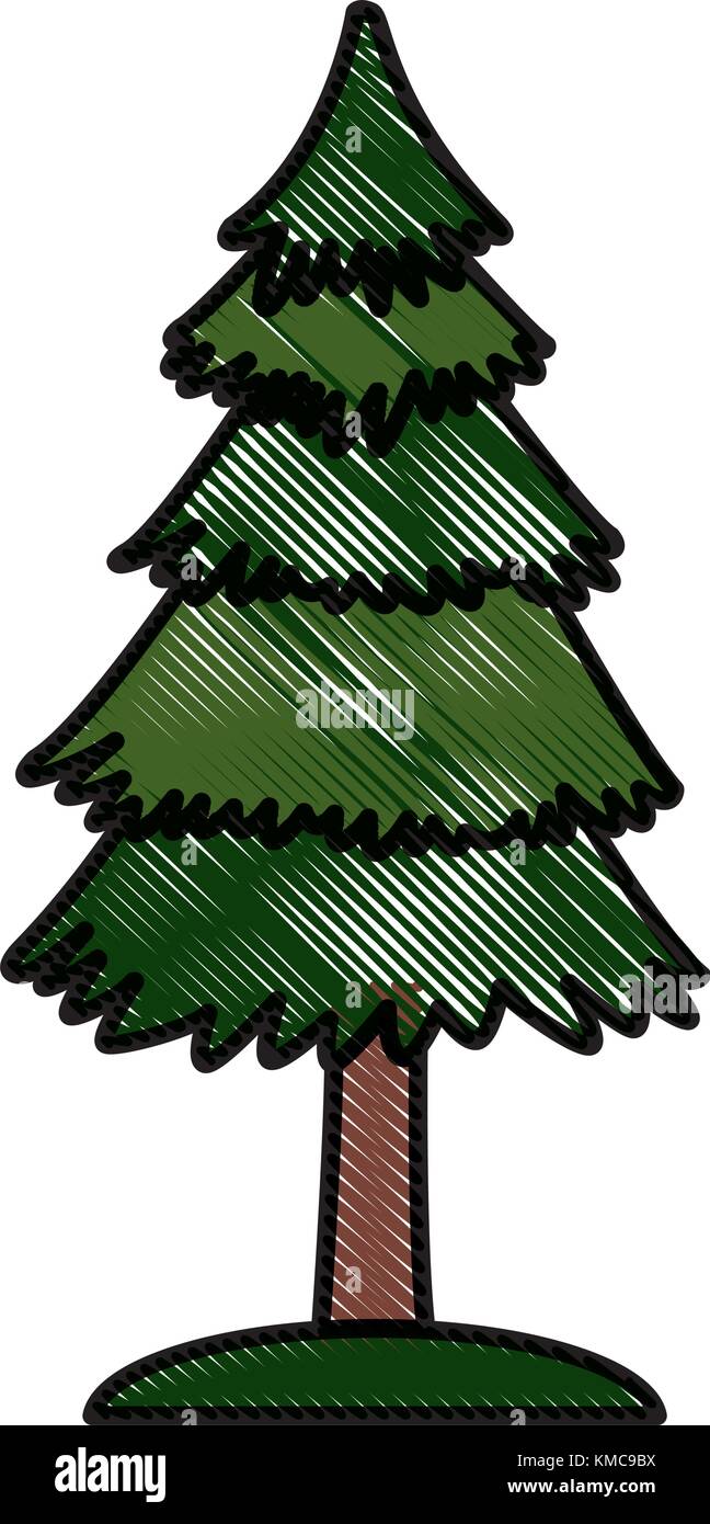 Tree pine isolated Stock Vector Image & Art - Alamy