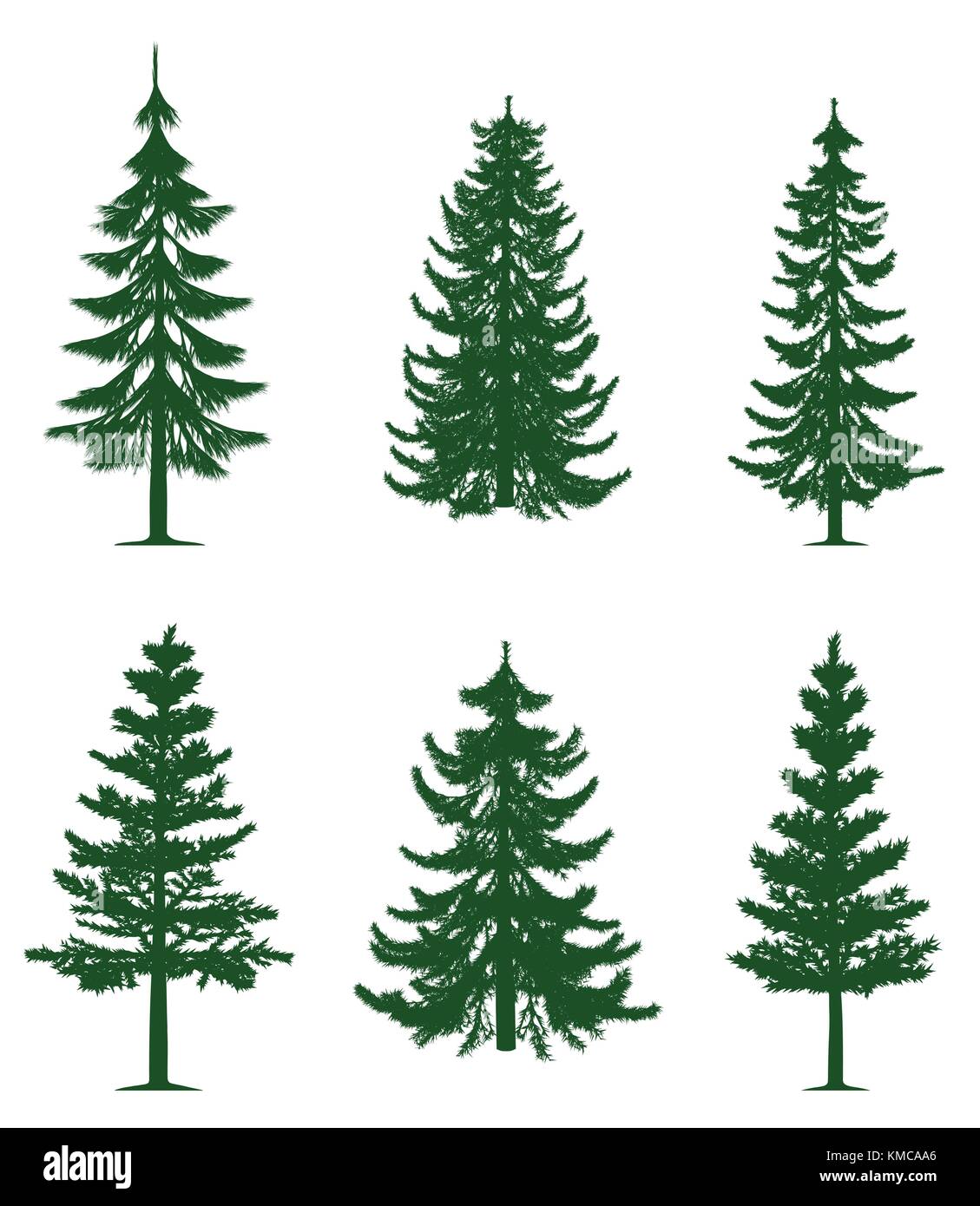 Green pine trees collection Stock Vector Image & Art Alamy