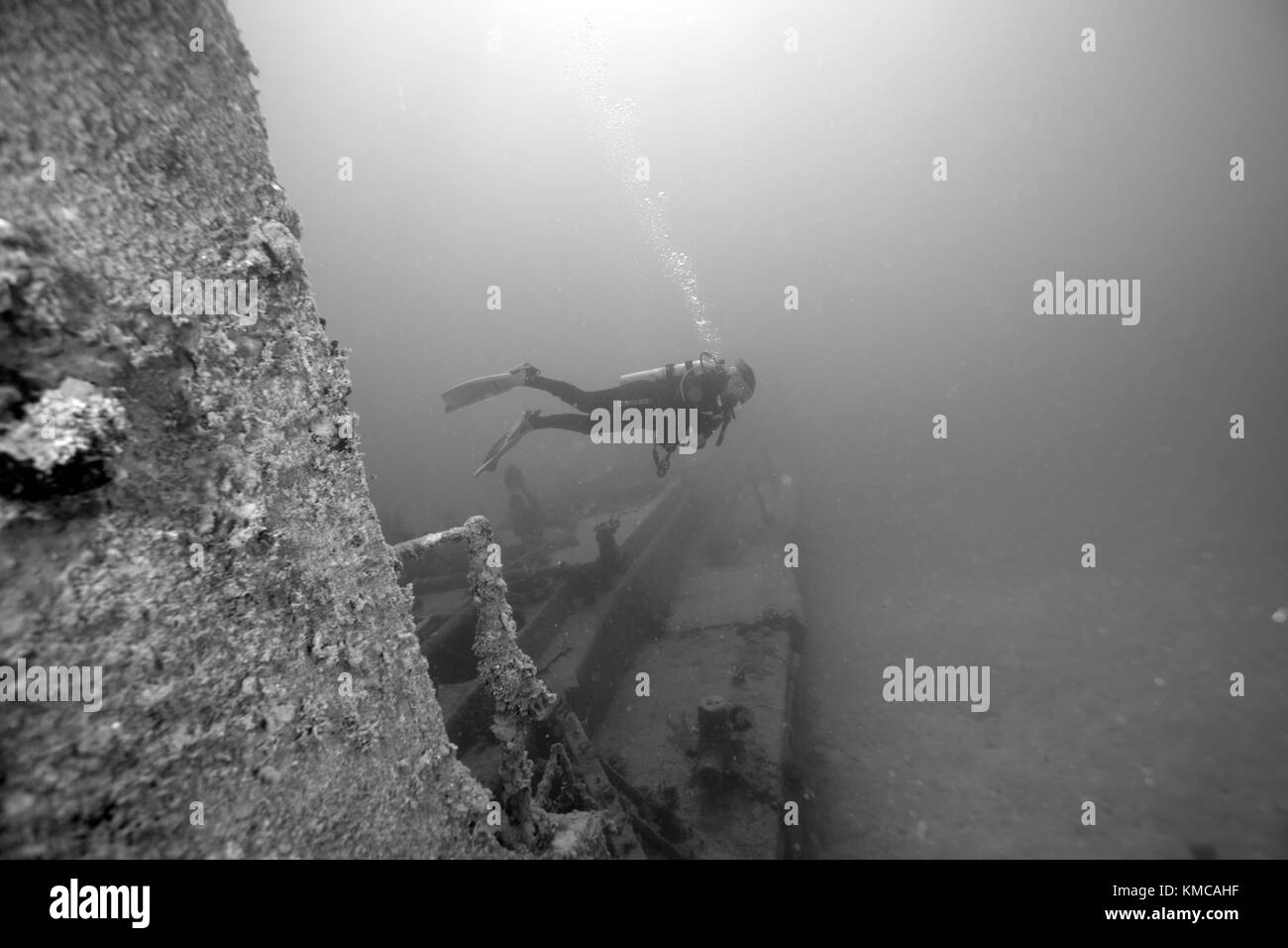 Wreck of Prince Albert Stock Photo Alamy