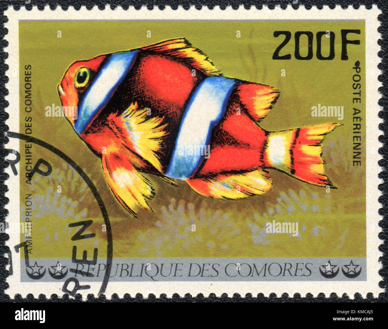 A stamp printed in COMOROS shows  a Clownfish - Amphiprion, series 'Tropical Fishes', circa 1977 Stock Photo
