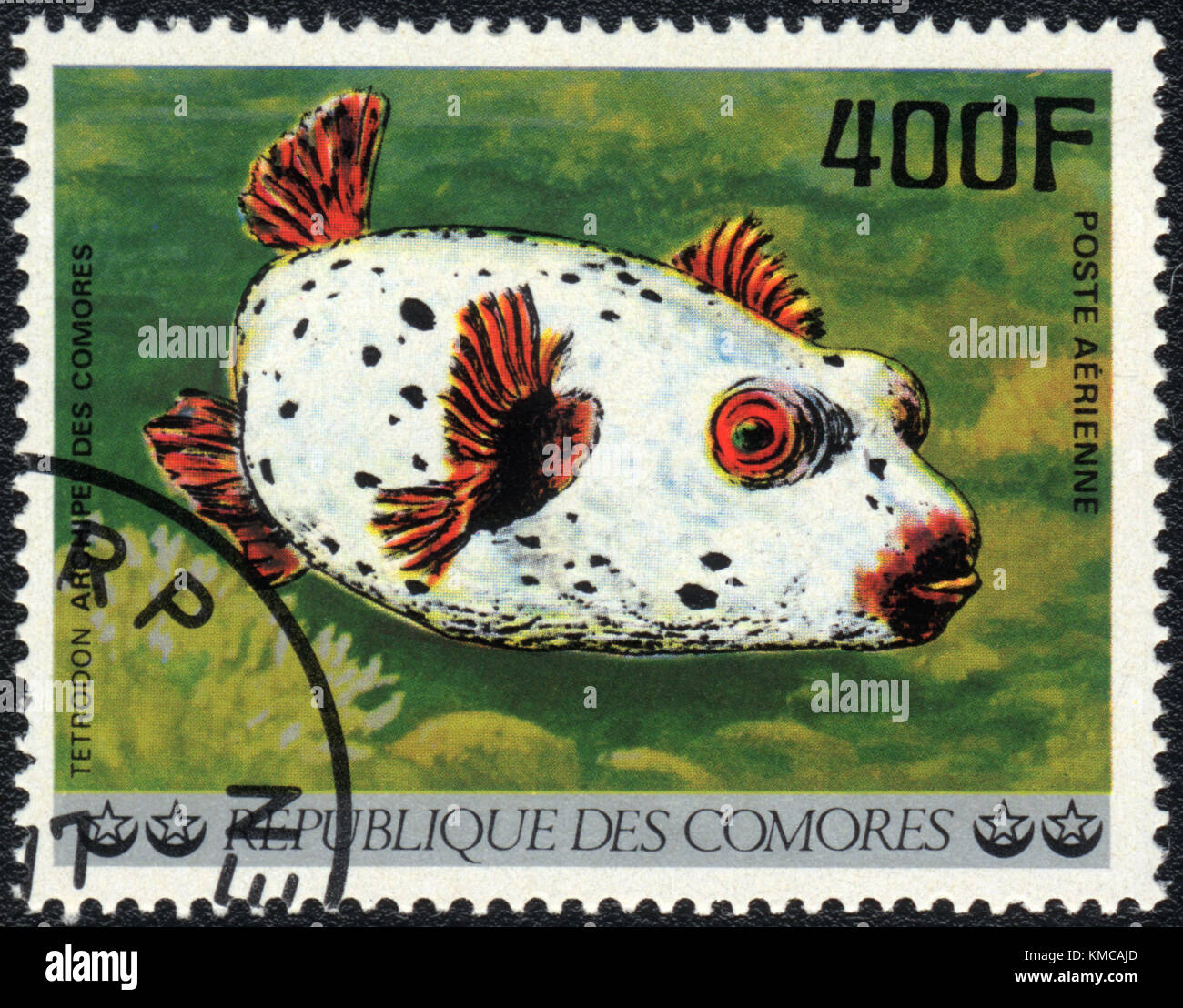A stamp printed in COMOROS shows  a Tetrodon, series 'Tropical Fishes', circa 1977 Stock Photo