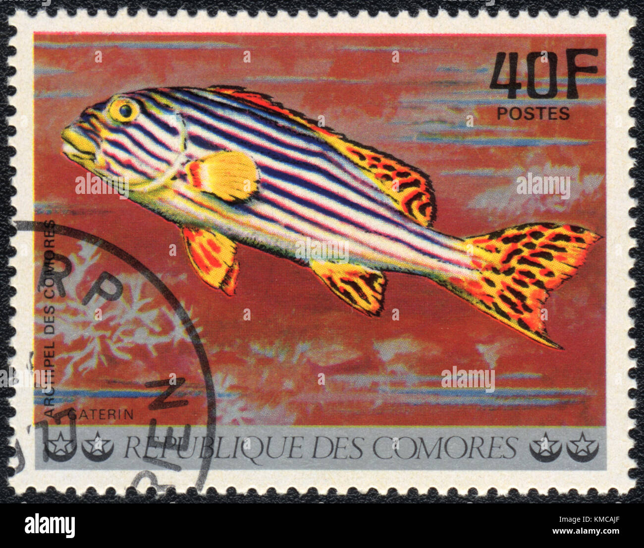 A stamp printed in COMOROS shows  a Gaterin orientalis, series 'Tropical Fishes', circa 1977 Stock Photo