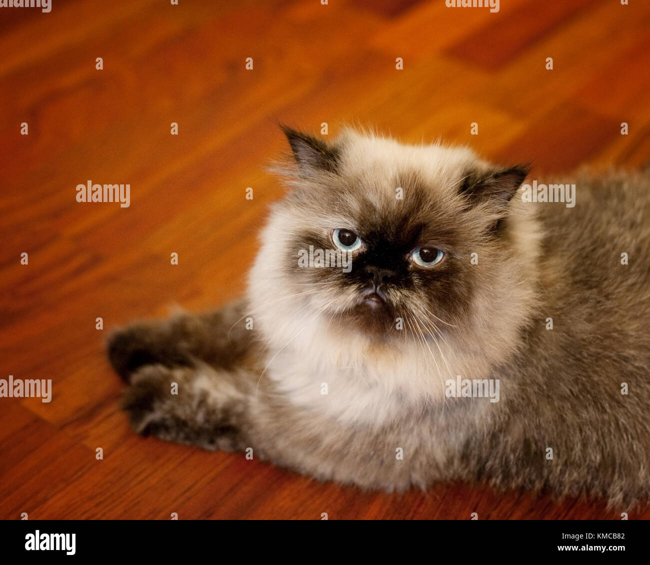 My Image 9