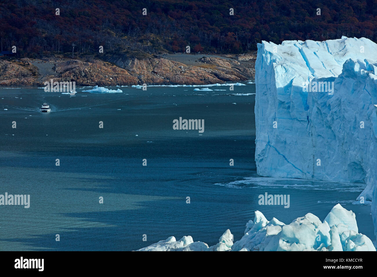 Terminal face of Perito Moreno Glacier, and Lago Argentino, Parque Nacional Los Glaciares (World Heritage Area), Patagonia, Argentina, South America Stock Photo