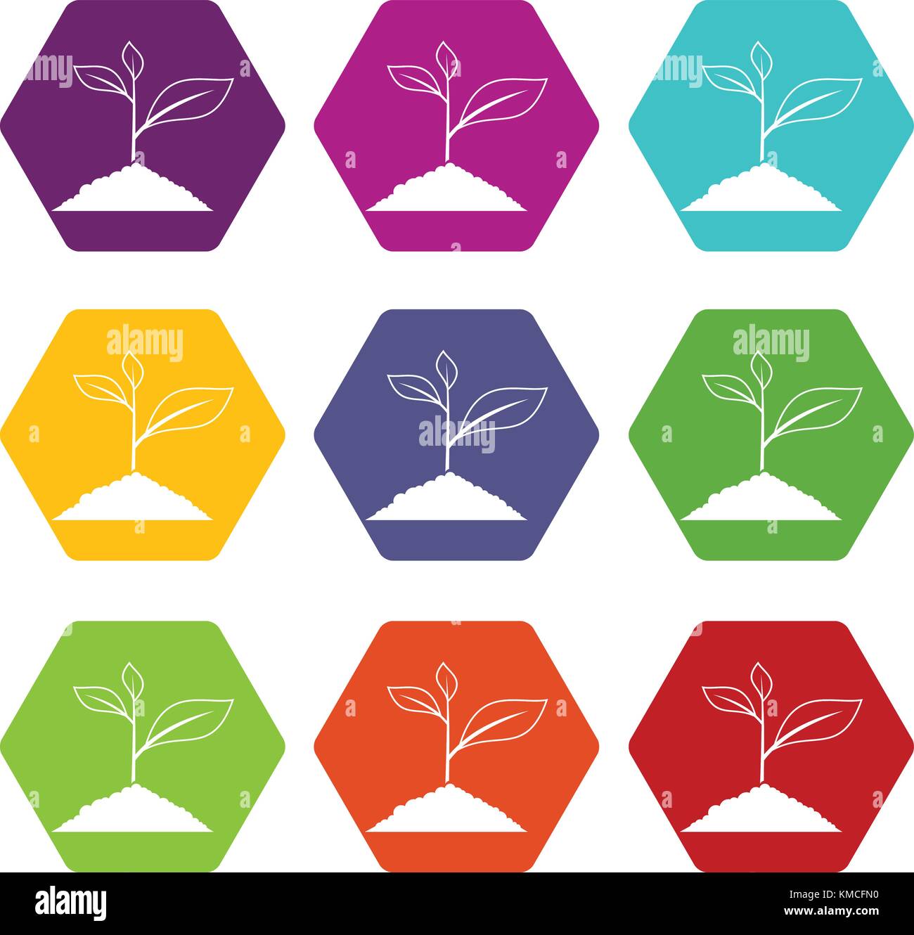 Growing plant icon set color hexahedron Stock Vector Image & Art - Alamy