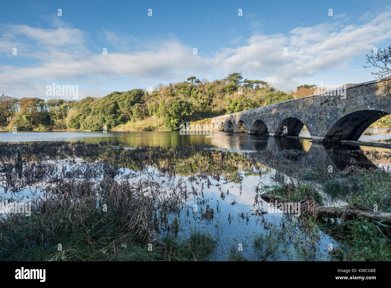 Bosherston autumn hi-res stock photography and images - Alamy