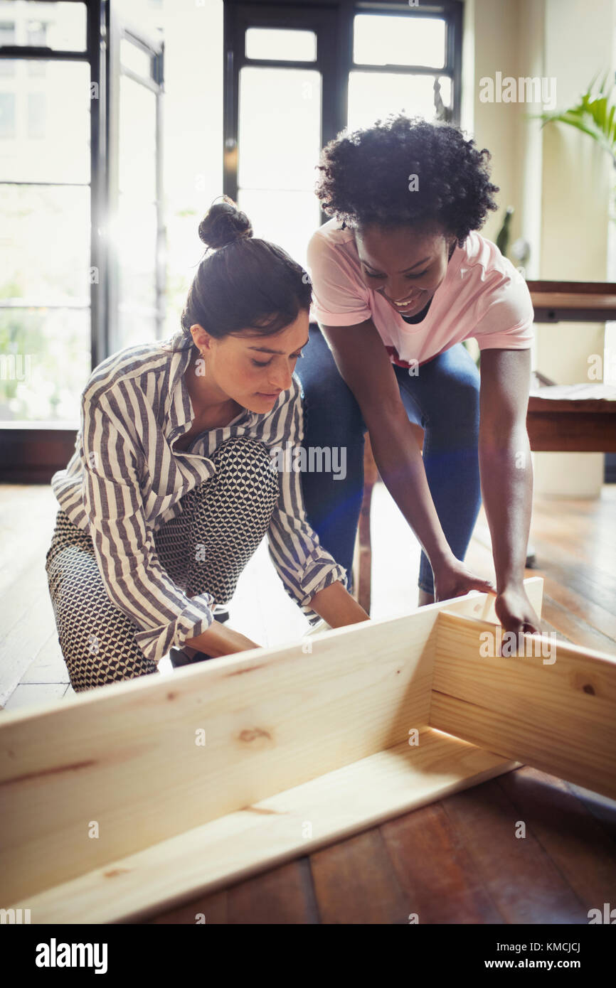 Women assembling furniture Stock Photo